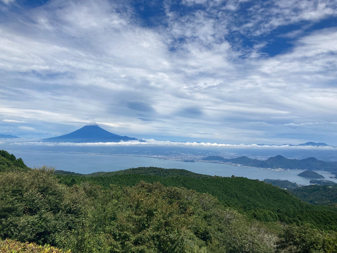 スキンケア=スカルプケア!頭皮も保湿する時代がやってきた。