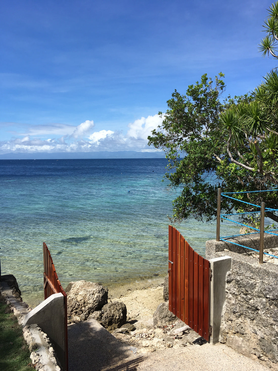 幹細胞培養上清液・エクソソーム配合コスメって効果あるの？安全なの？——安定性と規制の現実から読み解く