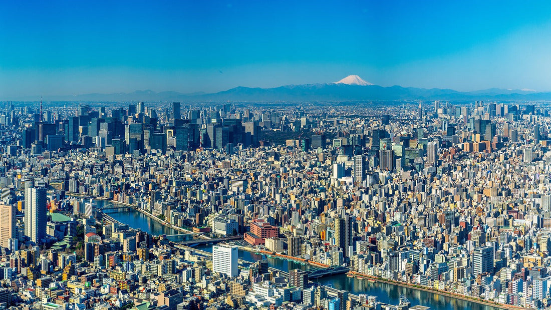 スカルプシャンプーで頭皮ケア。正しい選び方とおすすめポイント徹底解説 その3